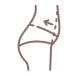 Acmulo de Gordura Corporal icon
